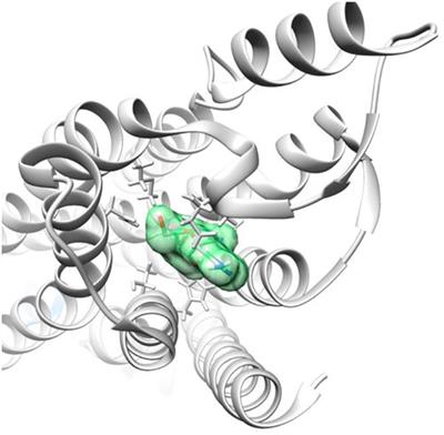 Remdesivir-induced conduction abnormalities: A molecular model-based explanation